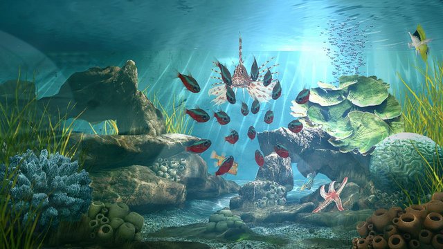 Aquatopia