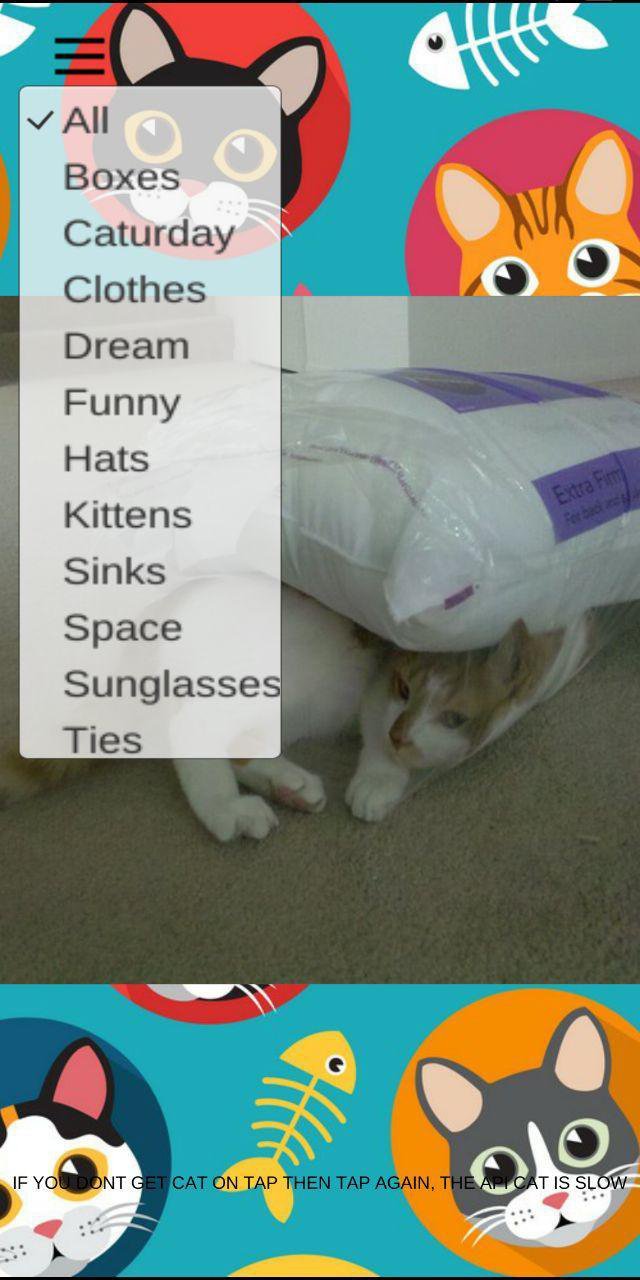 TapToCat