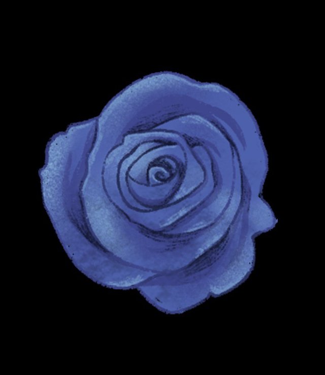 Projeto Rosa Azul