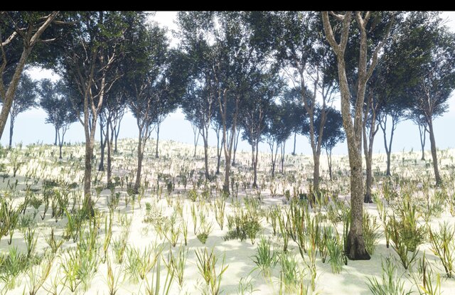 Vegetation Environment