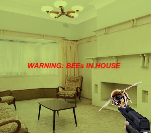 There are bees in your house