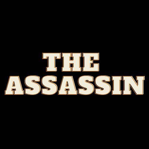 The Assassin (Silent Coder)