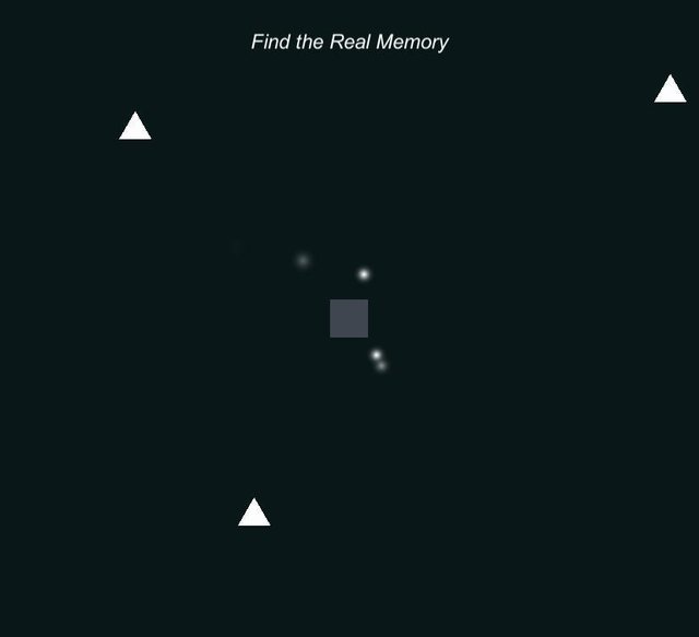 Find The Real Memory