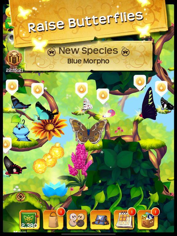 Flutter: Butterfly Sanctuary