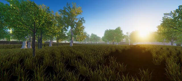 Battle Royale Beta Release
