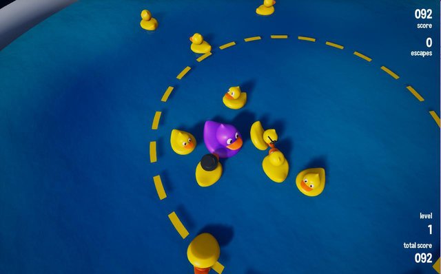 Duck Guardian