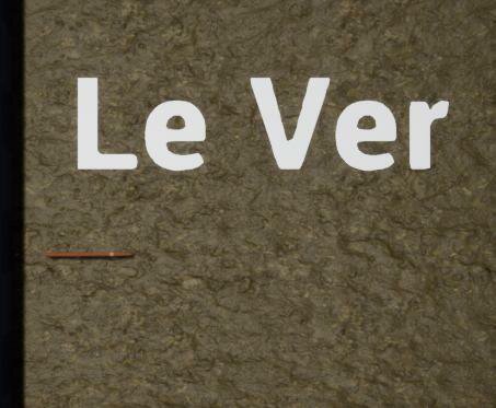 Le Ver