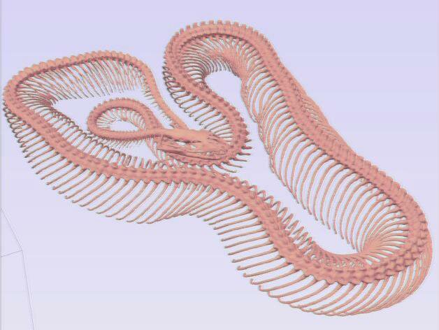tailless serpent