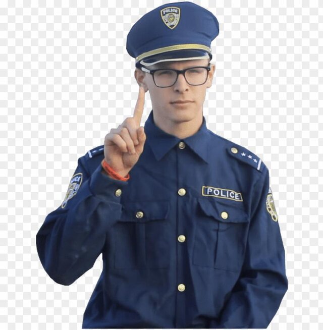 Cop Simulator