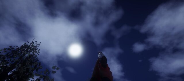 Shadows Within The Darkened Wood