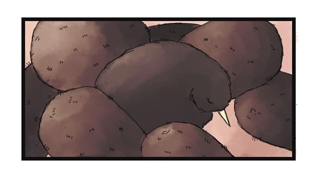 Kiwi Konundrum