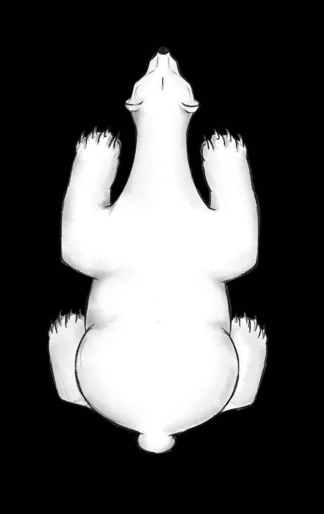 Supervivencia Polar
