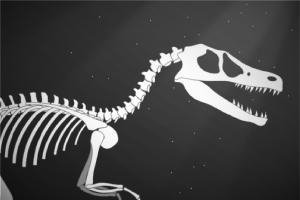 Raptor Dash
