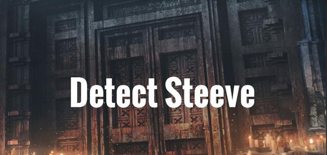 Detect Steeve