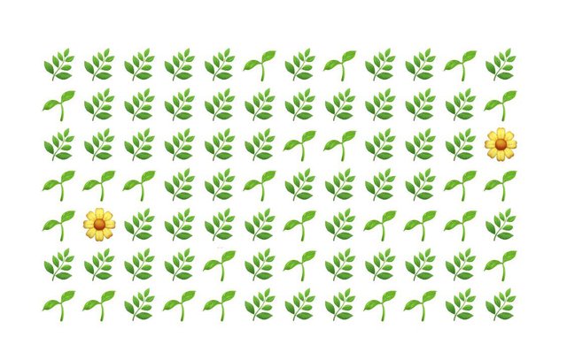 Tiny Woodland