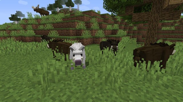 Forest Craft