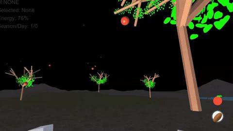 Seed Survival