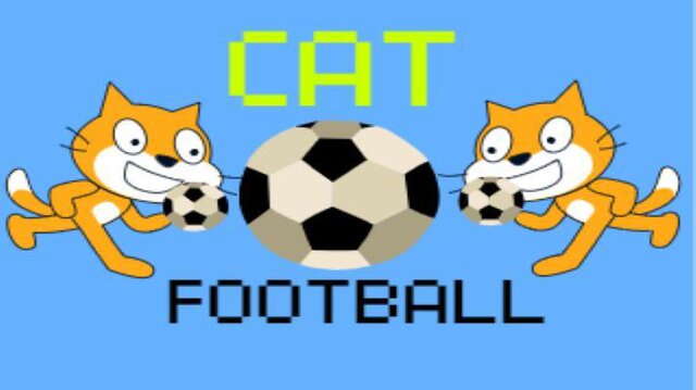 Cat Football