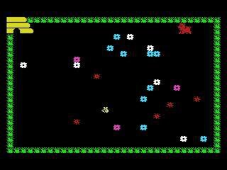 Busy Bee (MSX) by Keith Erickson