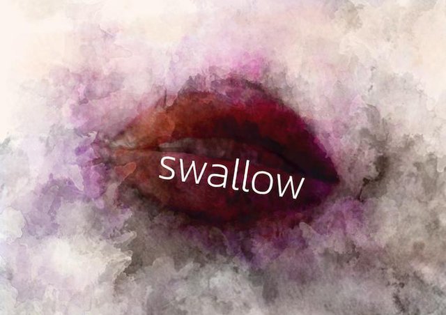Swallow