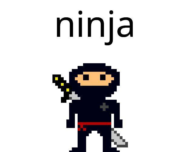 Ninja Demo