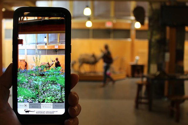 The AR Perpetual Garden Apps
