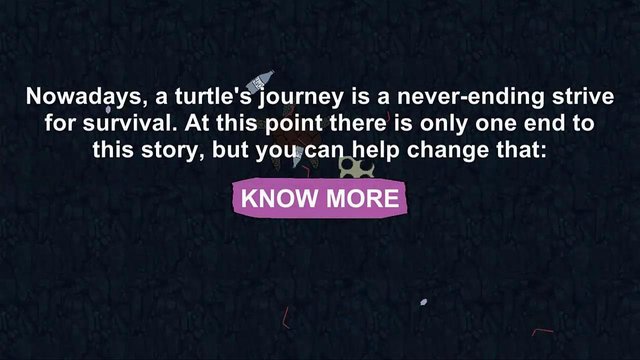 A Turtle's Journey