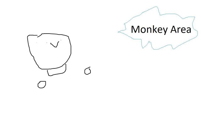 Monkey Area