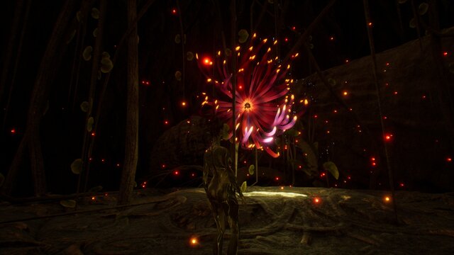 Path of Root