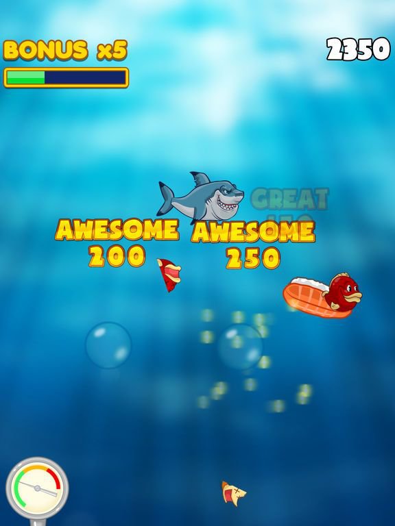 Dash Shark in Hungry Fish Tank
