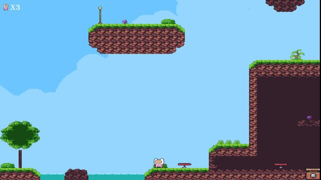 The Little Pink's Puzzling Adventure