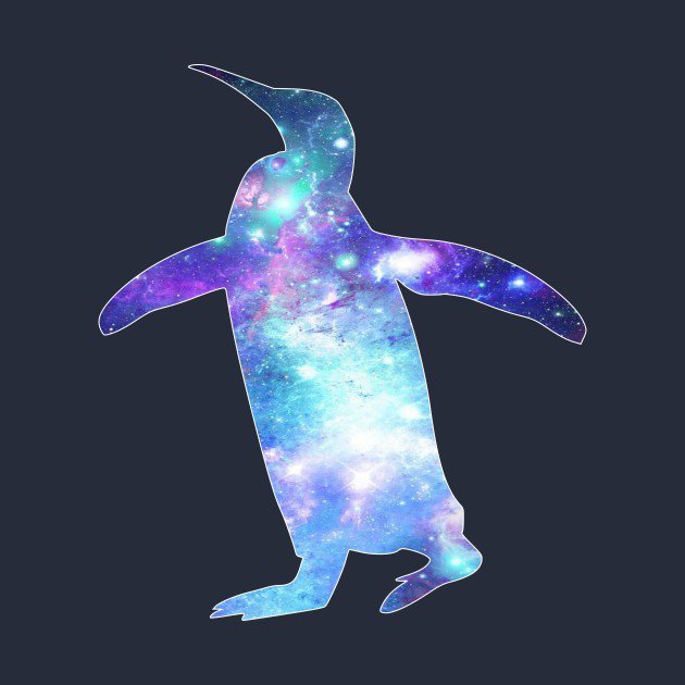 Space Bird (forums)