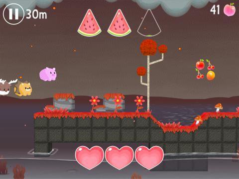 Animal Dash!