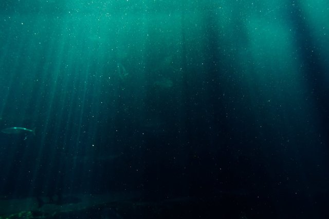 Deepsea Dive