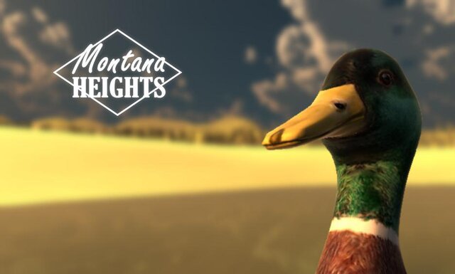 Montana Heights