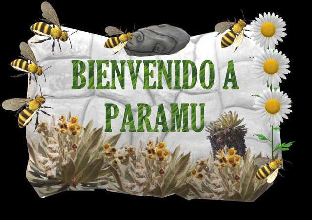 PARAMU