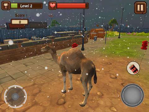 Camel Simulator