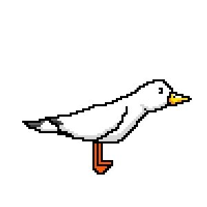 The Adventure Of Janette The Seagull