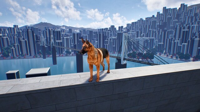 Doggy Up!