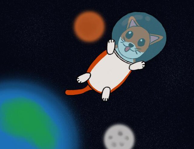 Gatin Espacial