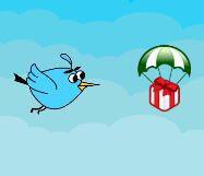 The Coder Bird