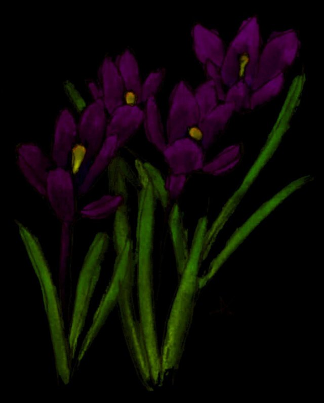 The Trans-Dimensional Gardening Guild Handbook