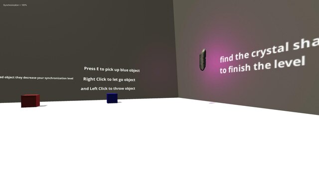 The Synchronization Adventure