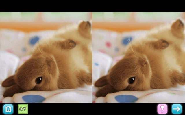 Pinky - Find differences