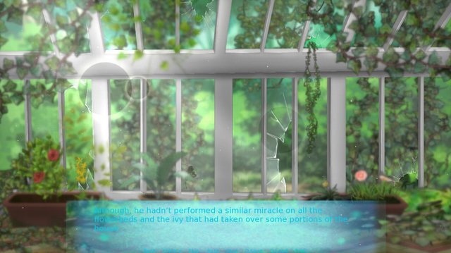 The Will O Wisp Forest
