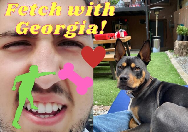 Fetch with Georgia!