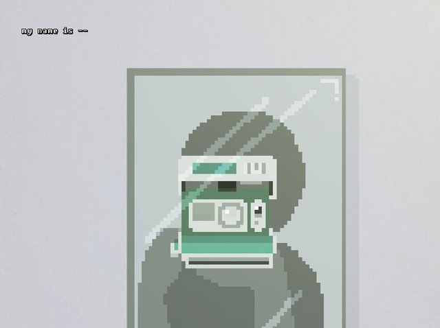 Parallel Camera
