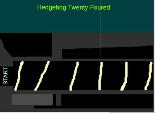 Hedgehog Twenty-Foured