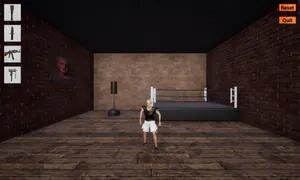 Jake Paul Ragdoll