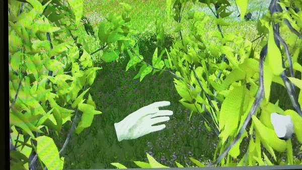 ZenSpace VR